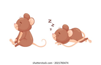 Cute Mouse Character Sitting and Sleeping Vector Set