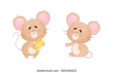 Cute Mouse Character as Small Rodent Eating Cheese Slab and Sitting Vector Set