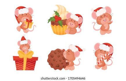 Cute Mouse with Long Tail and Protruding Ears Holding Candy Stick and Carrying Gift Box Vector Set