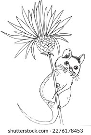 Cute mouse on a branch of wheat,  black outline illustration vector image. Hand drawn sketch image artwork. Simple original logo icon from pen drawing sketch.
