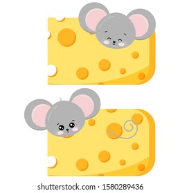Cute mouse pick out of cheese set isolated on white background. Various action peeps out of cheese.  Little funny rat with food inside a piece of cheese. Vector flat design illustration.