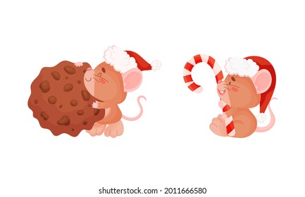 Cute Mouse with Protruding Ears in Red Hat Holding Chocolate Cookie and Candy Cane Vector Set