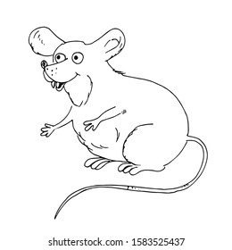 Cute mouse, rat. Line drawing.  Vector illustration.
