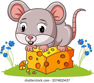 The cute mouse is sitting and eating on the cheese of illustration