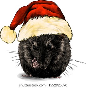 cute mouse sitting with his front paws tucked in a big Christmas hat with fur on his head, sketch vector graphics color illustration on a white background