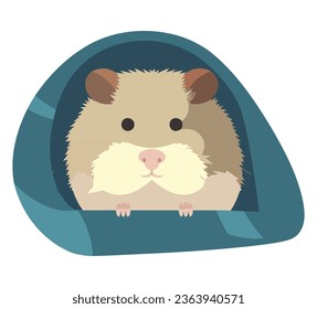 Cute mouse sitting on pillow over white
