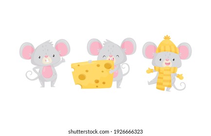 Cute Mouse Wearing Warm Hat and Eating Cheese Slab Vector Set