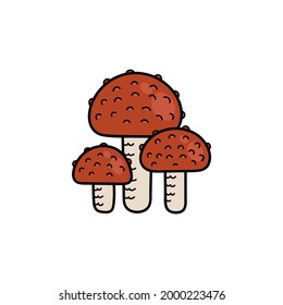 Cute mushroom in doodle style. Poisonous mushroom, fly agaric, toadstool. Vector isolated hand illustration