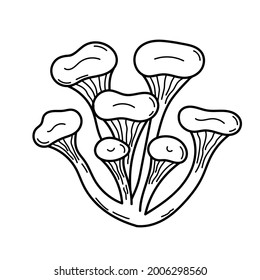 Cute mushroom in doodle style. Poisonous mushroom. Vector isolated hand illustration for coloring pages, sketch, outline