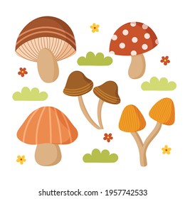 Cute Mushroom with Flat Design Concept