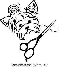 Cute muzzle yorkie. Symbol for grooming salon