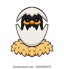 Cute myna bird cartoon inside from egg