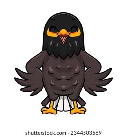 Cute myna bird cartoon posing