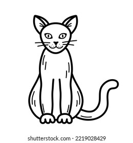 Cute mystic cat with narrow pupils. Halloween character. Hand drawn sketch style. Isolated vector illustration in doodle line style.