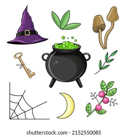 Cute Mystic  icon. Cartoon colorful Magical element collection. Kawaii astrology icons of door key, witch's cauldron, toadstools, grass, crescent moon, cobwebs, berries vector stuff.