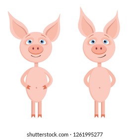 Cute naive funny pigs. Vector illustration isolated on white background.