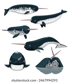 Cute Narwhal Whale Dolphin Poses Set Cartoon Vector