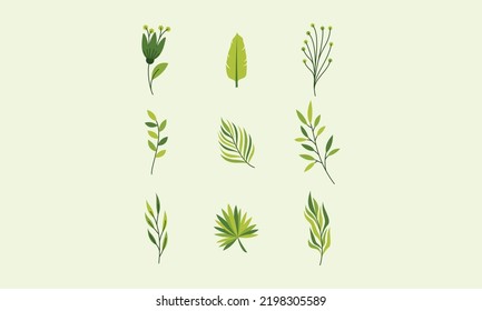 Cute nature flowers and leaves vector. Small colorful flowers