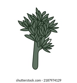 cute nature leaf illustration vector elements design