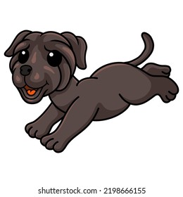 Cute neapolitan mastiff dog cartoon running