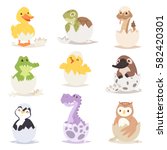 Cute new born animals in eggs easter farm holiday creature little life and young shell small pet nature birthday adorable wildlife poultry tiny character vector illustration.