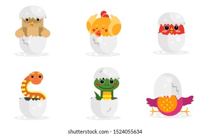 Cute New Born Animals In Eggs Vector Illustration Set