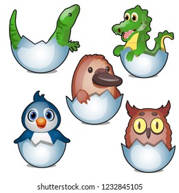 Cute new born animals hatch eggs isolated on white background. Vector cartoon close-up illustration.