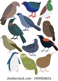 Cute New Zealand Birds Illustrated Vector - Set of 12