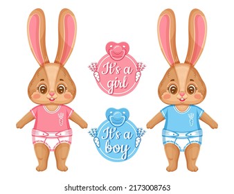 Cute newborn bunny, baby shower. It's boy, girl. Announcement child birth. Small infant rabbit twins in diaper. New born hare animal character. Birthday holiday party. Greeting card. Cartoon vector