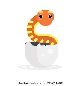 Cute newborn colorful snake character, funny reptile in egg cartoon vector Illustration