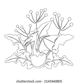 Cute newborn dinosaur pterodactyl. Vector illustration of Jurassic world pterodactyl coloring page.