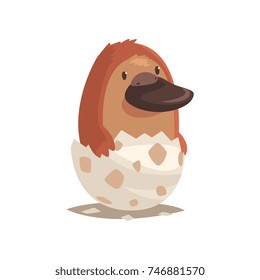 Cute newborn platypus in broken egg shell