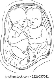 Cute newborn twins babies sleeping vector and illustration; sketch drawing of a newborn sleeping baby girl and boy in a swaddle; clip art and symbol of newborn twin babies 