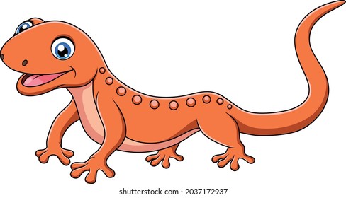 1 297 Cartoon newt bilder, arkivfotografier og vektorer | Shutterstock