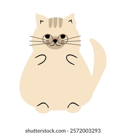 Cute nice lovely cat cartoon character on white background vector illustration