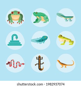 cute nine amphibians set icons
