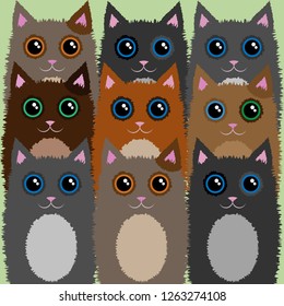 Cute nine fluffy cats vector illustration