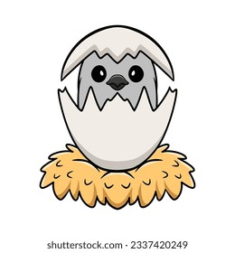 Cute northern mockingbird cartoon inside from egg