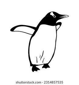 Cute Northern Penguin. Monochrome vector illustration. Realistic polar animal