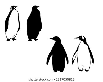 Cute Northern Penguin. Monochrome vector illustration. Realistic polar animal silhouette