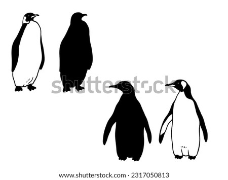 Cute Northern Penguin. Monochrome vector illustration. Realistic polar animal silhouette