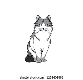 Cute Norwegian Forest Cartoon Cat. Vector illustration of purebred norwegian forest cat.