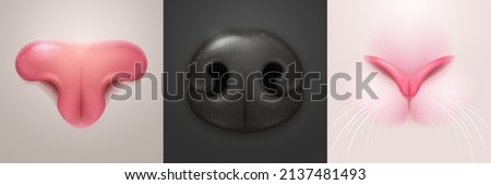 Cute noses of cat, dog and rabbit, closeup of pet snout. Vector realistic illustrations of part of white kitten, bunny and black puppy face. Pink and black noses of domestic animals