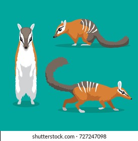 Cute Numbat Cartoon Vector Illustration