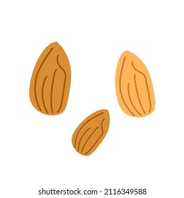Tuerca de corte aislada sobre fondo blanco. Ilustración gráfica vectorial. Impresión de café vegetariano, afiche, tarjeta, logotipo. postre natural, orgánico dulce, pistacho fresco, desayuno ecológico