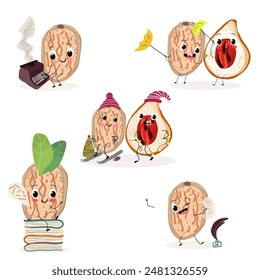 Cute nut meg characters set, collection. Flat vector illustration. Activities, playing musical instruments, sports, funny nuts.