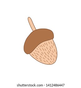 Cute nut vector Illustration. Hand drawn cartoon nut illustration. Woodland Animals.