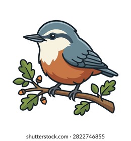 Cute nuthatch bird on an oak branch.