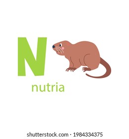 Cute nutria card. Alphabet with animals. Colorful design for teaching children the alphabet, learning English. Vector illustration in a flat cartoon style on a white background.