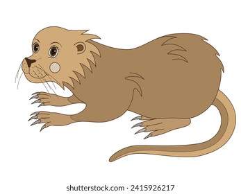 Cute nutria rat. Cartoon vector illustration.